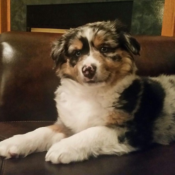 Meet your Posher, Cyann - Picture 3 of 6